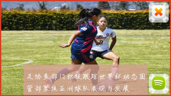 足协多部门积极跟踪世界杯动态国管部聚焦亚洲球队表现与发展